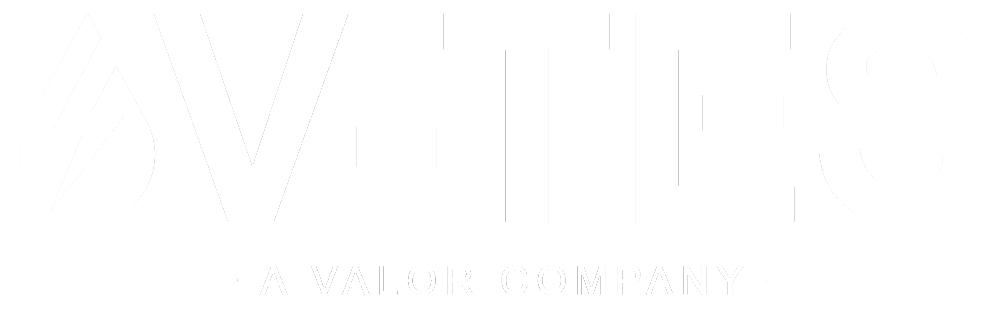 V-TES white transparent logo